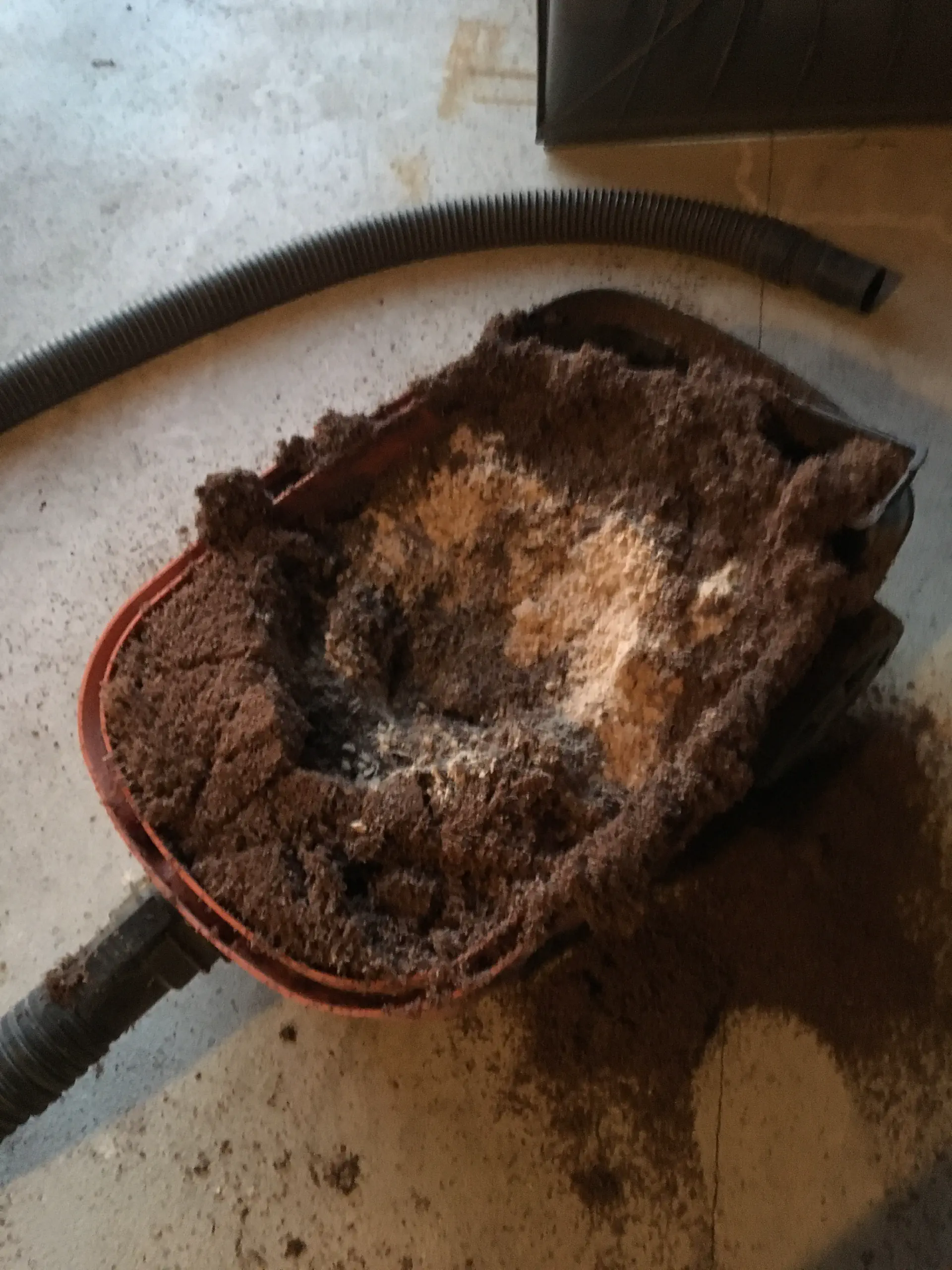 Shop vac full of saw dust from planing the hardwood board