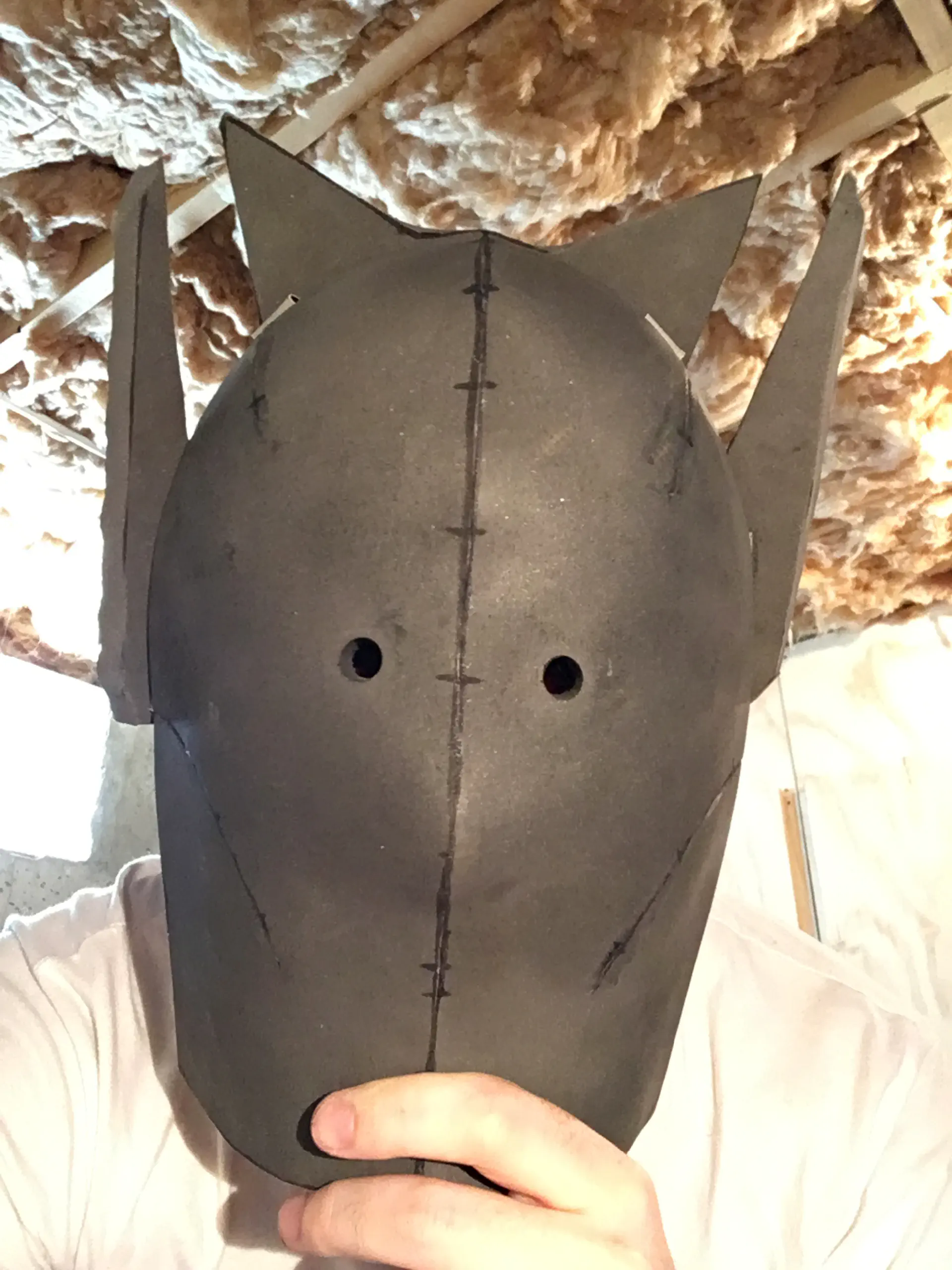 The mask has small circular eye holes now, and the typical Blue Spirit ears and crown.