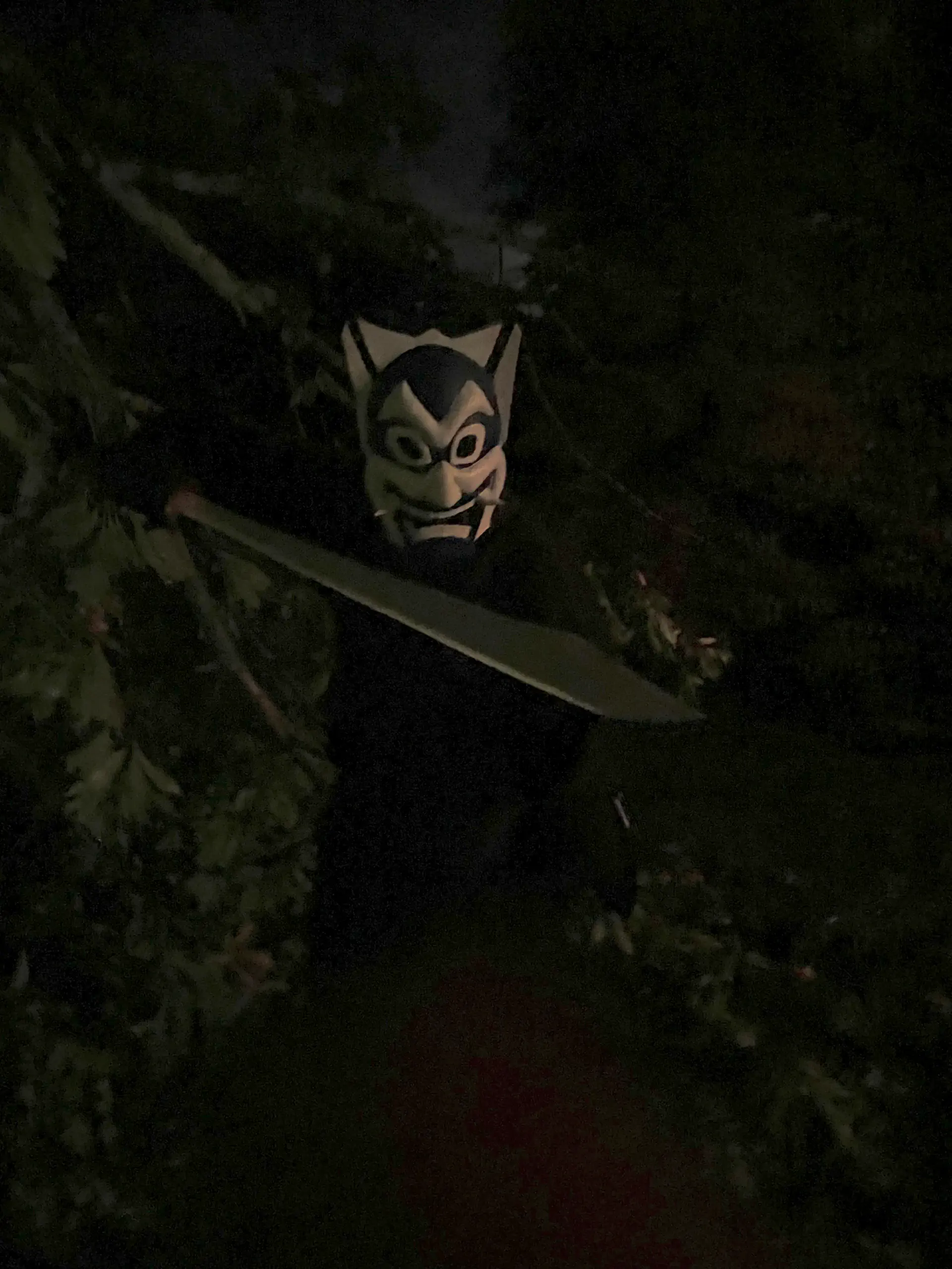 An outdoor shot, wearing the mask and brandishing the swords as one.
